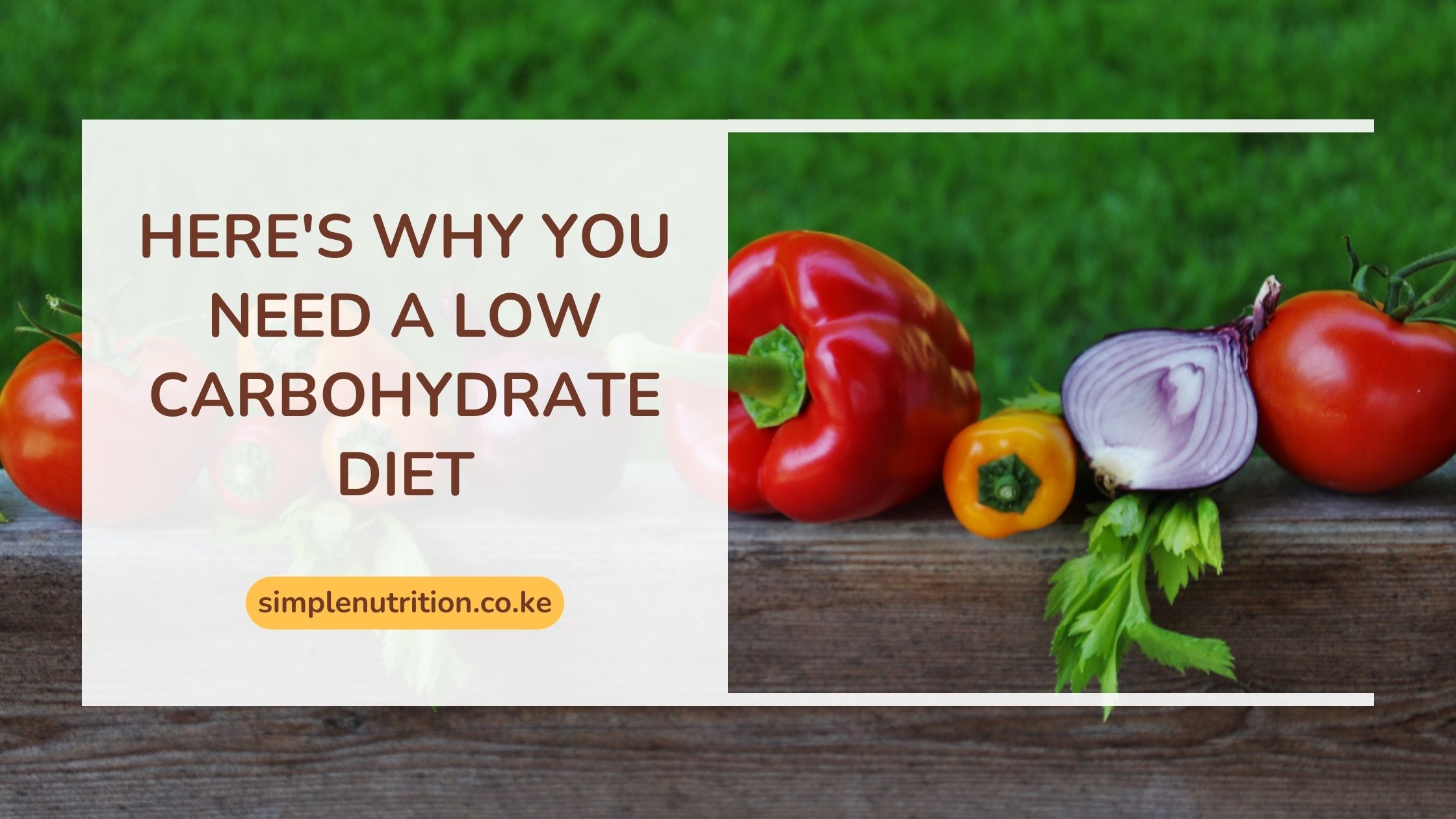 This is Why you need a Low carbohydrate diet!