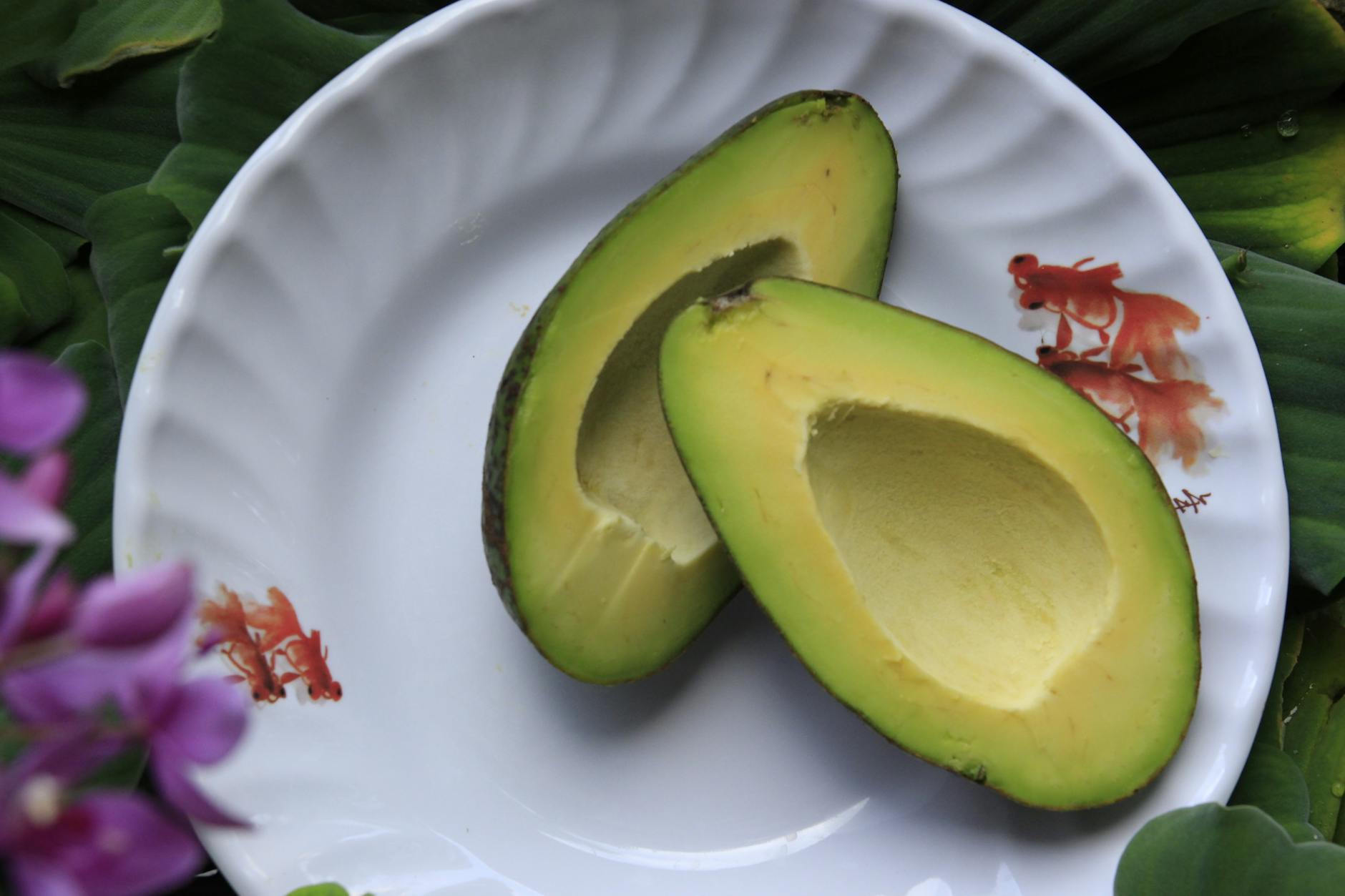 Avocado: What nutrients are you getting from avocado?